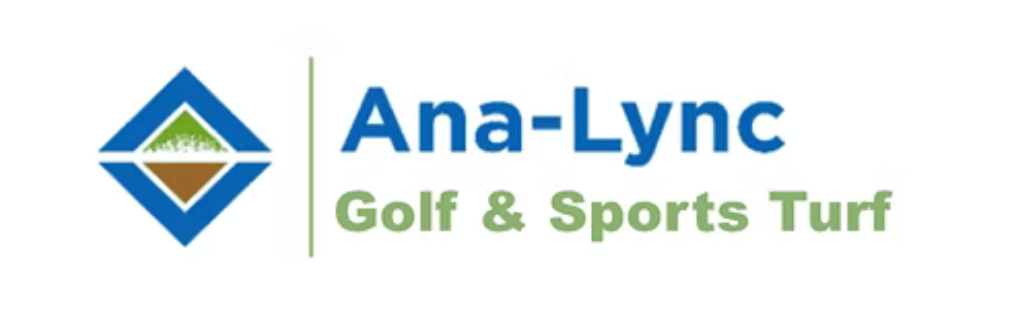 Analync logo