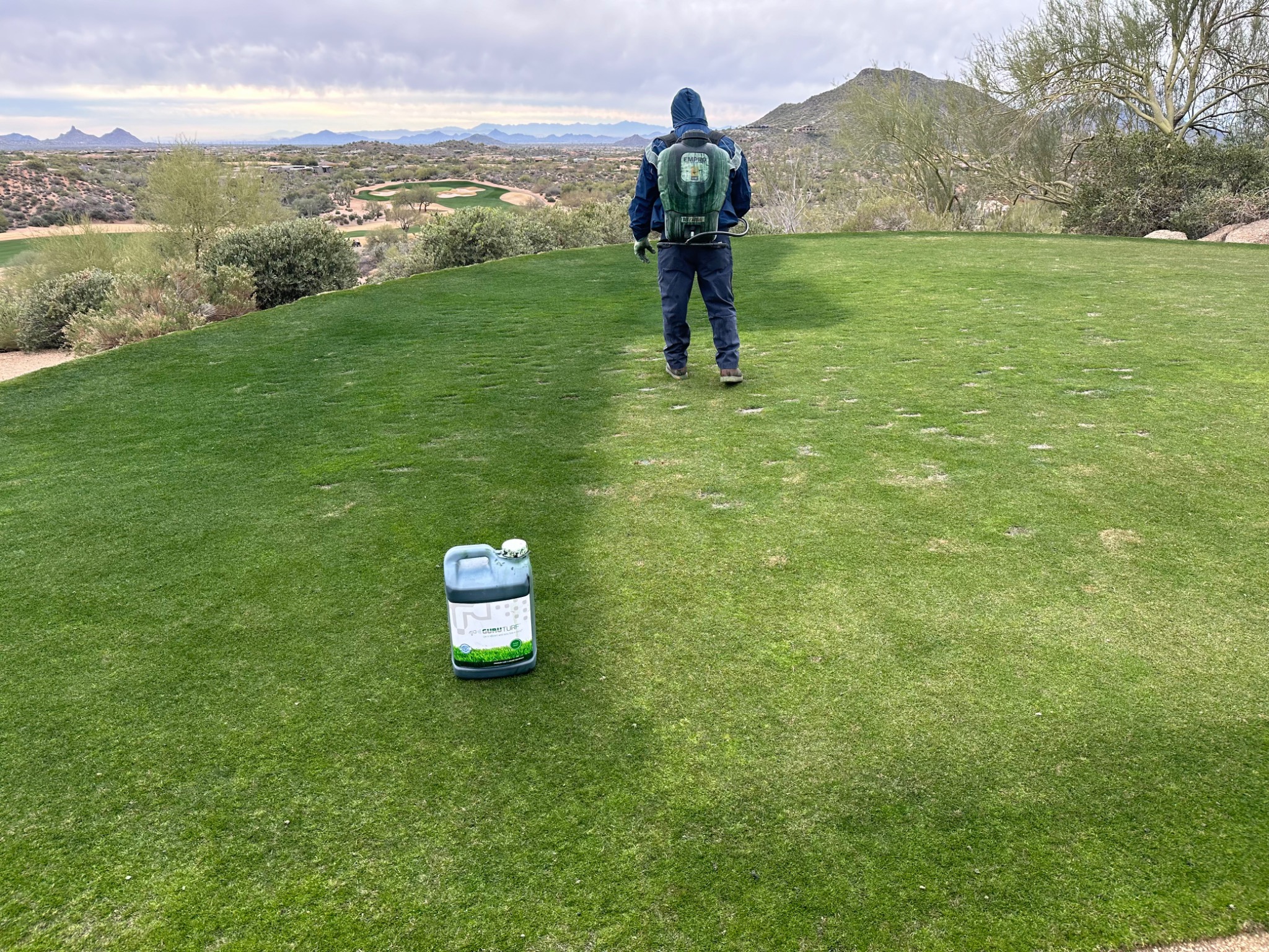 Southwest Turf Support work and turf projects