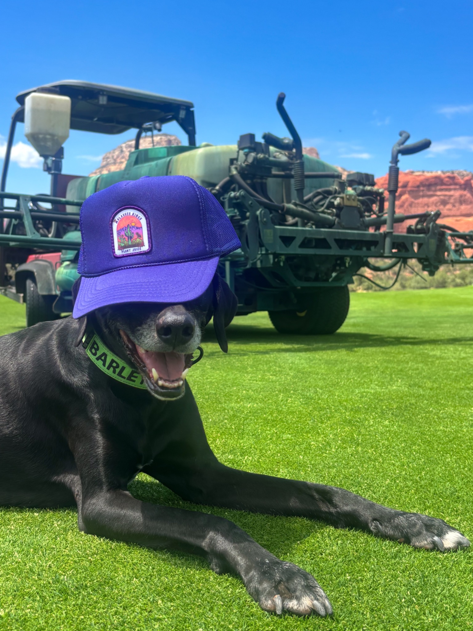 Southwest Turf Support work and turf projects